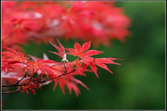 讲到这里还有一个误区我有必要澄清一下过去......《赢利》摘录